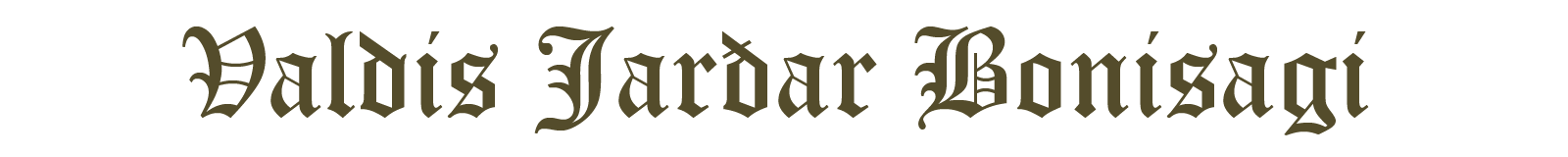 Valdis Jar&eth;ar Bonisagi